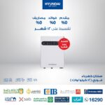 HYUNDAI Instant Electrical Water Heater Q22120 White 12KW